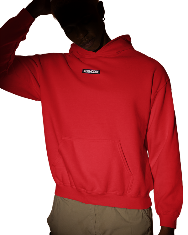 Hoodie | Classic Edition ALIENCORE. — Origin Series