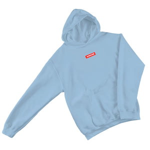 Light blue hoodie with a red logo on a gray surface with jeans, shoes, camera, and accessories.