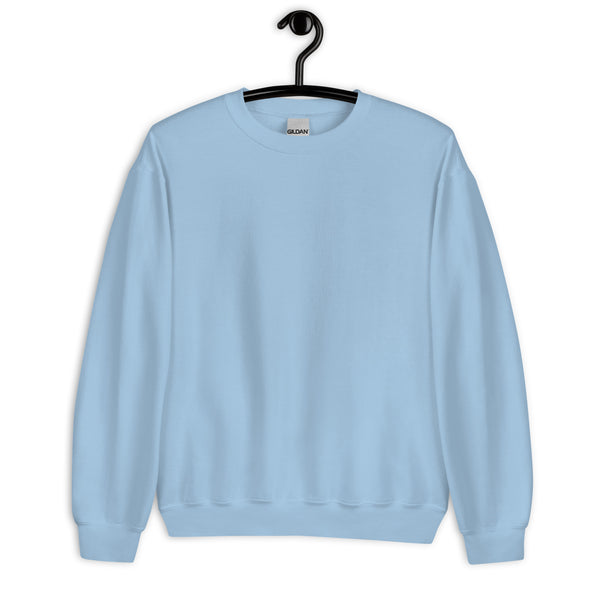 Light blue sweatshirt on a hanger against a white background