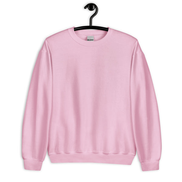 Pink sweatshirt on a hanger against a white background