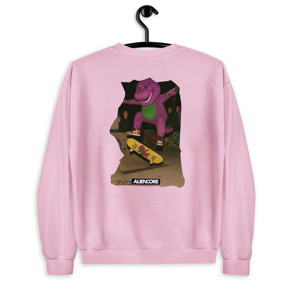 Pink sweatshirt with a graphic of a purple dinosaur on a skateboard, hanging on a black hanger against a white background.