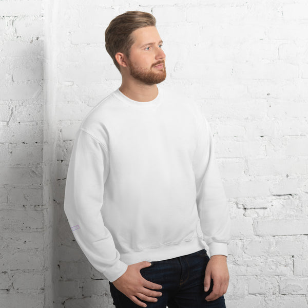 Sweatshirt | DRIVEOFF WARP — aliencore.exe