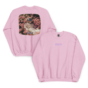 Two pink sweatshirts, one with a graphic of an astronaut and flowers, the other plain, on a white background.
