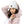 Beanie | Koala Embroidery — AUS.EXE — aliencore.exe