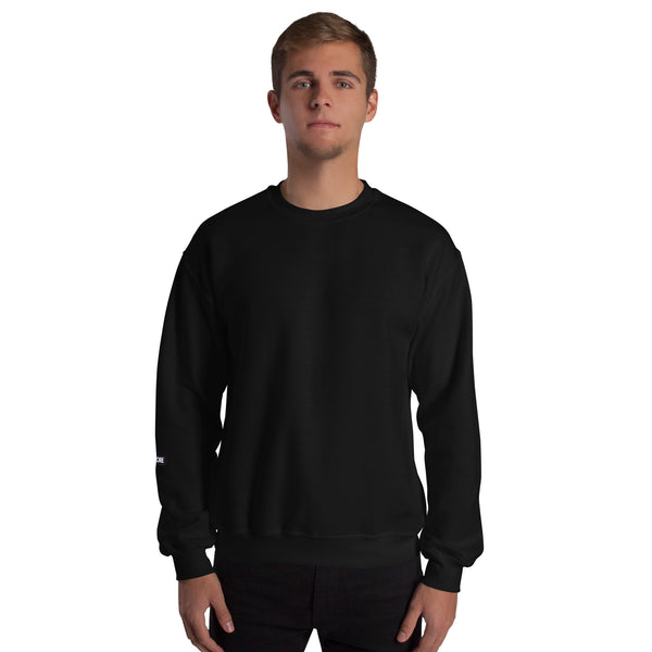 Sweatshirt | C.A.T. ROLL — aliencore.exe