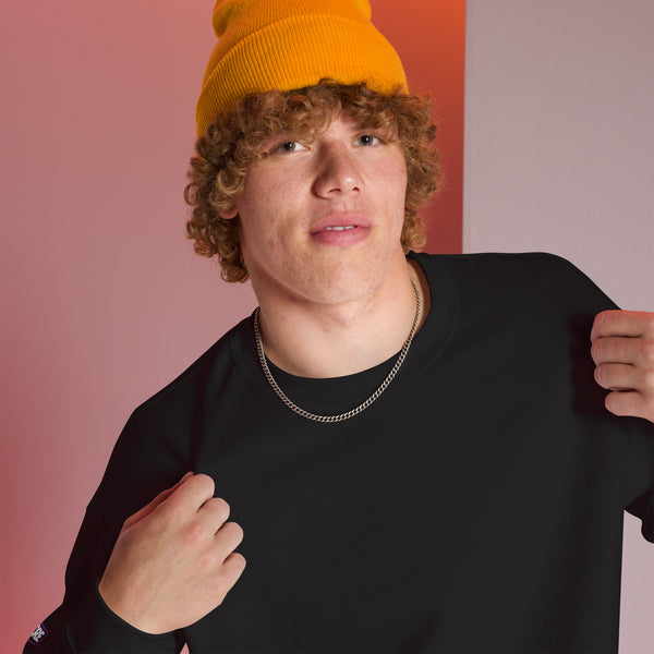 Sweatshirt | The Briefing — Inversion