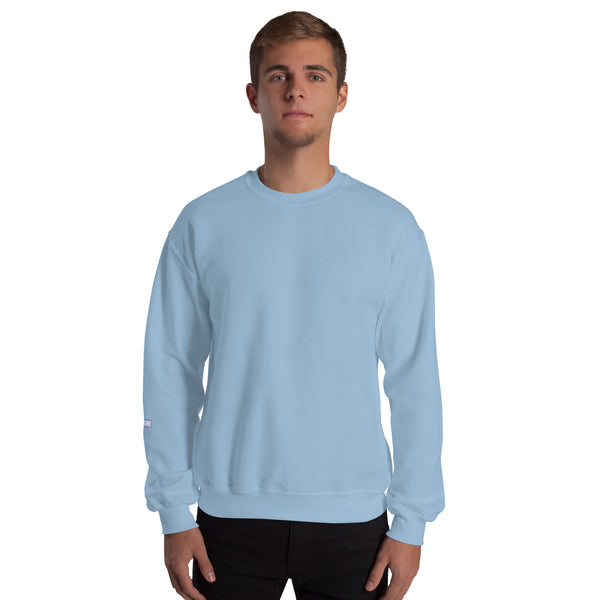 Sweatshirt | C.A.T. ROLL — aliencore.exe
