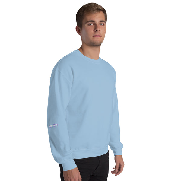 Sweatshirt | C.A.T. ROLL — aliencore.exe