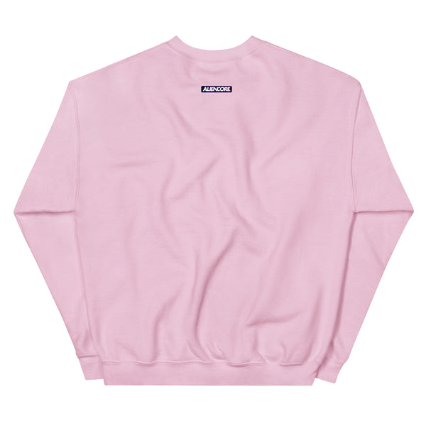 Sweatshirt | ABDUCT.ME — aliencore.exe