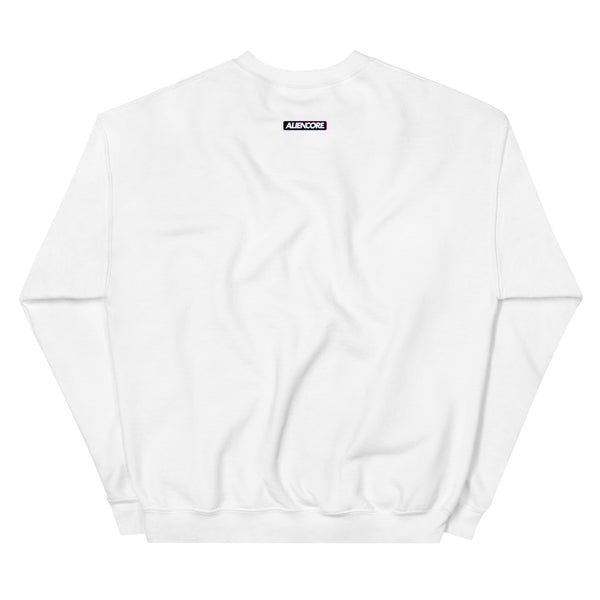 Sweatshirt | ABDUCT.ME — aliencore.exe
