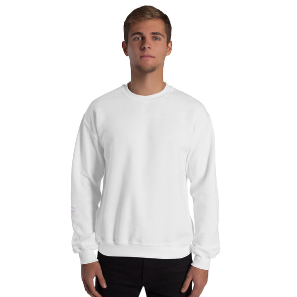 Sweatshirt | C.A.T. ROLL — aliencore.exe