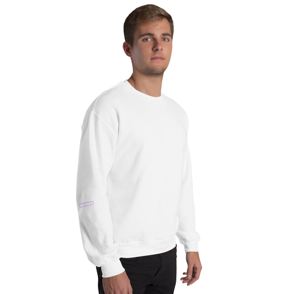 Sweatshirt | C.A.T. ROLL — aliencore.exe