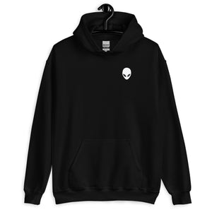 Hoodie | THE.VISITOR — aliencore.exe
