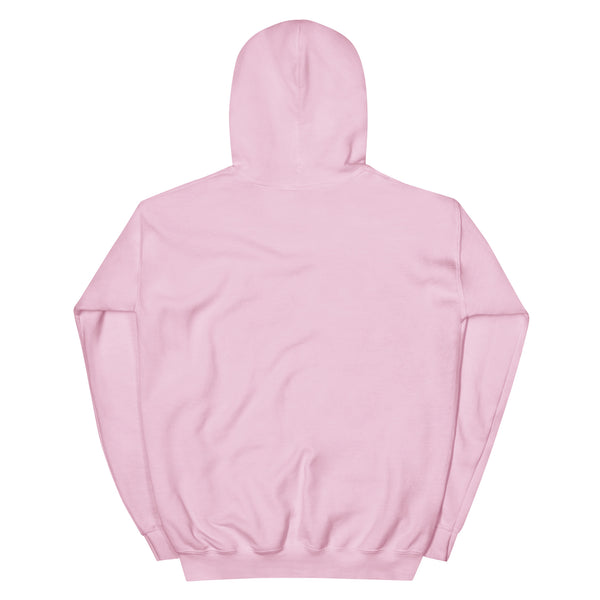Hoodie | Kangaroo Embroidery — AUS.EXE — aliencore.exe