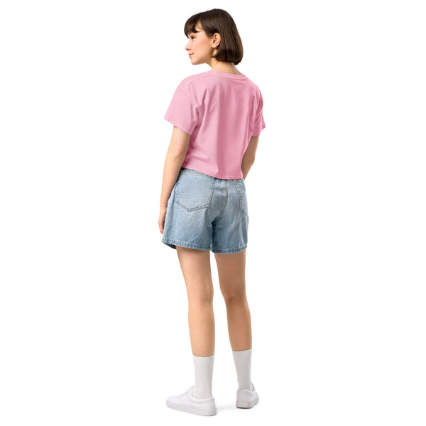 Crop top | Disconnected to Reconnect. — aliencore.exe